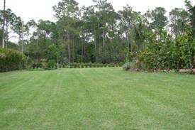 Jupiter Farms Villa | jupiter 5BR spanish villa-