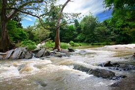 Buttala Resort | KumbukRiver Tree Luxuria