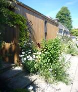 Selkirk House | Cedar Cabin
