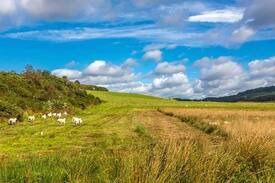 Lochgilphead House | Kings Reach Cottages - Crinan