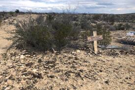 Terlingua Other | Ocotillo Acres