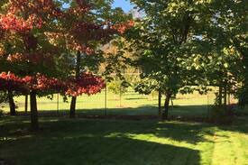 Philomath House | Country setting in beautiful Kings Valley Oregon.