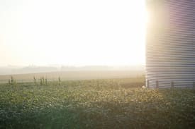 Alpha Other | Northeast Iowa Farm Cottages