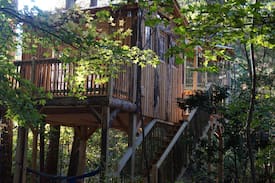 Kennesaw Other | Treasure Hunt Tree House in Metro Atlanta