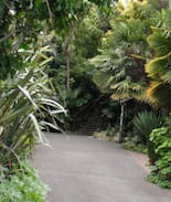 Hospital Hill Bed & Breakfast | Hillhaven ( room 2) B&B in Napier, NZ
