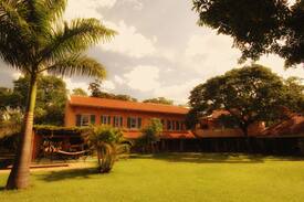 Harare East House | Pevensey House with Msasa woodlands in Highlands