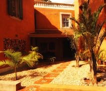 Harare East House | Pevensey House with Msasa woodlands in Highlands