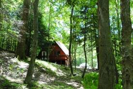 Treasure Lake House | PA Resort Chalet + Pontoon Boat