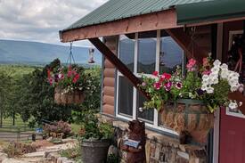 Whitesboro House | Susie Q's Mountain View (See our Discounts!)