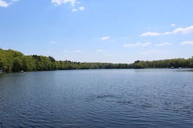 Comstock Cabin | Gorgeous Pipe Lake Retreat: Wooded, Spa, Sleeps 10
