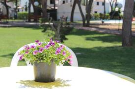 Son Xoriguer Apartment | JULIETA 5 APARTAMENTO EN MENORCA