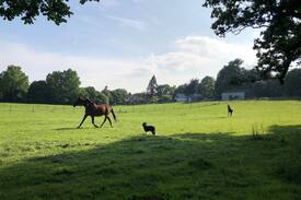 Fontwell House | The Bothy at Days