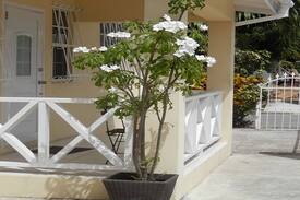 Welches Apartment | Affinity Villas - Apartment 1