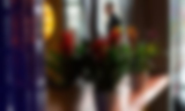 Lignano Sabbiadoro House | Villa Mucci - Frontemare