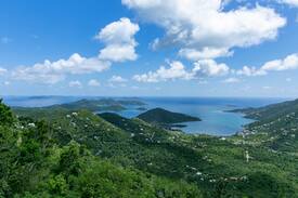 Maho Bay Quarter Cabin | Blissful Treetop Retreat: Samsara