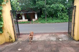 Aldona House | The Noronha house, Aldona - AC room with breakfast