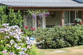 Sandspit Cabin | LYNN'S PLACE