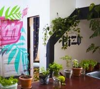 Nasimi Bed & Breakfast | Martha Bread & Breakfast