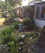 Wentworth Falls House | Yester Cottage, cute and comfortable.