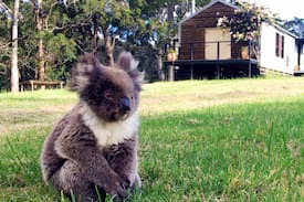 Hordern Vale House | Blue Wren Hideaway, secluded wildlife sanctuary