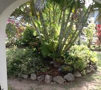 Rodney Bay House | Two Palms B&B in Rodney Bay