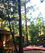 Idyllwild House | Secluded, Pristine-Cozy Lodge & TIKI Treehouse!