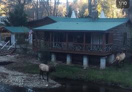 Cherokee Cabin | Qualla Cabins by the River
