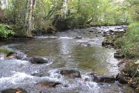 Hayesville Cabin | Blackwell Branch Cabin on rushing Tusquittee Creek