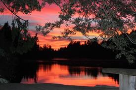 Salt Spring Island Other | ocean jewel cabin on organic farm with horses