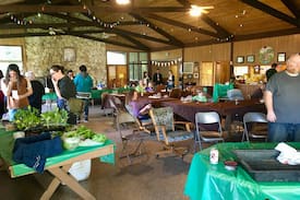 Toledo Other | The Lodge at Camp Singing Wind