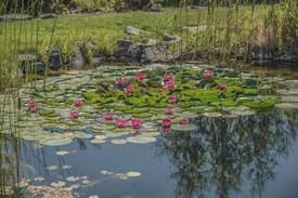 Ellensburg Other | The Guesthouse at Silica Ranch