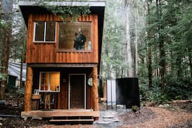Juan de Fuca Electoral Area Cabin | Fern Gully: Redwood Cabin