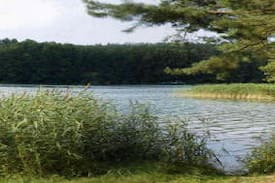 Oberhavel Apartment | Stechlinsee idyllisches Cottage im Wald 4
