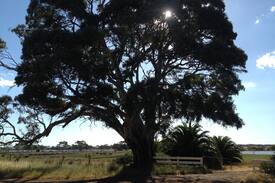 Coomunga Bed & Breakfast | The Sanctuary (Port Lincoln)
