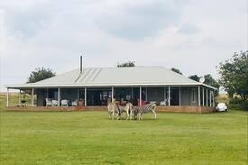 Emalahleni Other | The Folly