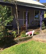 Ravensdale Cabin | Charlies Cottage in Yarramalong