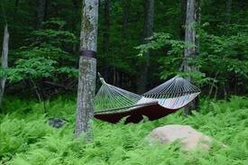 Deer Springs Cabin | The Bear Dance Cabin at Wintergreen Resort