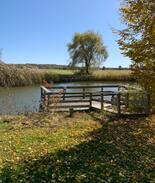 Red Hook Other | Farmland Tranquility at The Greig Farm Schoolhouse