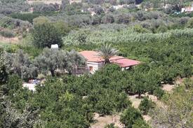 Goudi Other | Orange Grove Stone House Goudi Polis Chrysochous
