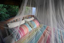 Kuaotunu Other | Kuaotunu Beach Farm Glamping