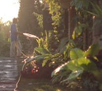 Ubud City-Centre Bed & Breakfast | Bata Bata guesthouse- bungalow in Ubud Centre