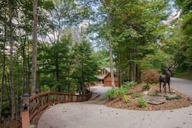 Waynesville Cabin | Cloud Country Lodge in Gated Smoky Mtn. Retreat