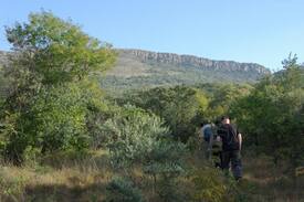 Hekpoort Other | Kleinplasie in Magaliesburg