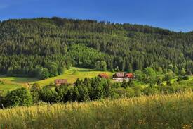 Hinterzarten Hotel | Waldhotel Fehrenbach, (Hinterzarten), Einzelzimmer, 16qm