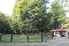 Wavre Apartment | A Piece of Paradise