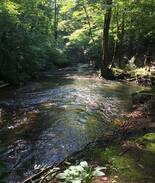 Blue Ridge Cabin | Trout Stream Dream by Easy Escapes