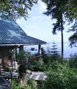 Petersburg House | the Lucky Loon Beach House