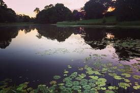 Maleny Cabin | Balfour Cottage on the Lake