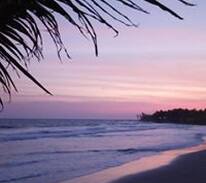 Kokrobite Bed & Breakfast | Dizzy Lizzie's Beach Resort