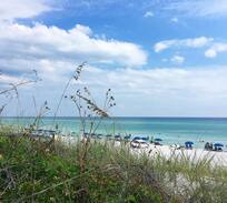 Seagrove Beach House | Walk to the Beach❤️Sunshine Daydream Seagrove 30A!